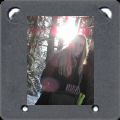 ma jolie hollandaise, sur les bords de l'�tang de la gru�re...